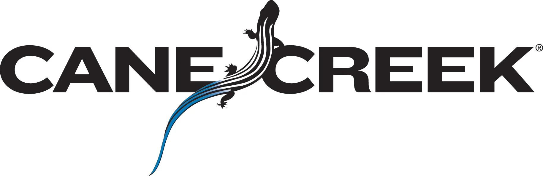 Cane Creek Cycling Components
